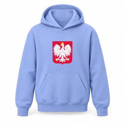 Youth Kids Poland National Soccer Team Pullover Hoodie | Color: Turquoise | Refreshed youth hoodie, original Drive artwork