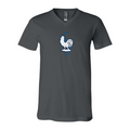 Men’s France National Soccer Team - BELLA + CANVAS - Jersey V-Neck Tee - 3005
